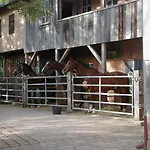 In Den Dorfwiesen
