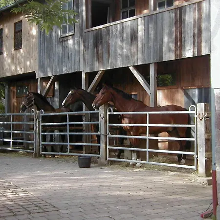 In Den Dorfwiesen