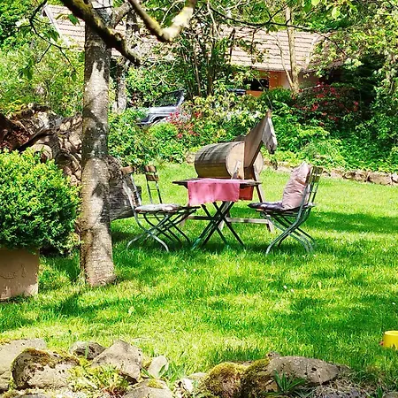 Apartmán In Den Dorfwiesen